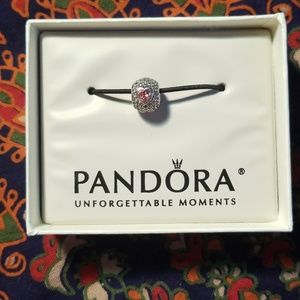 Captivating Hearts Pandora Charm